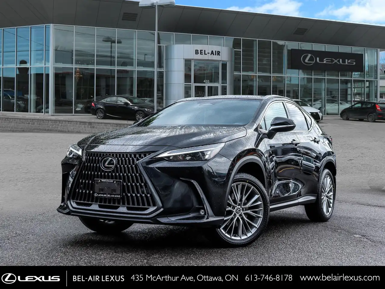 2024 Lexus NX 350 Luxury