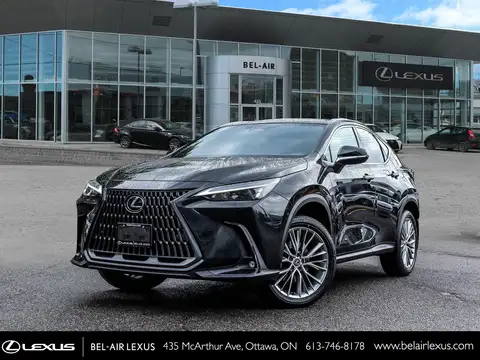 Lexus NX 350 Luxury