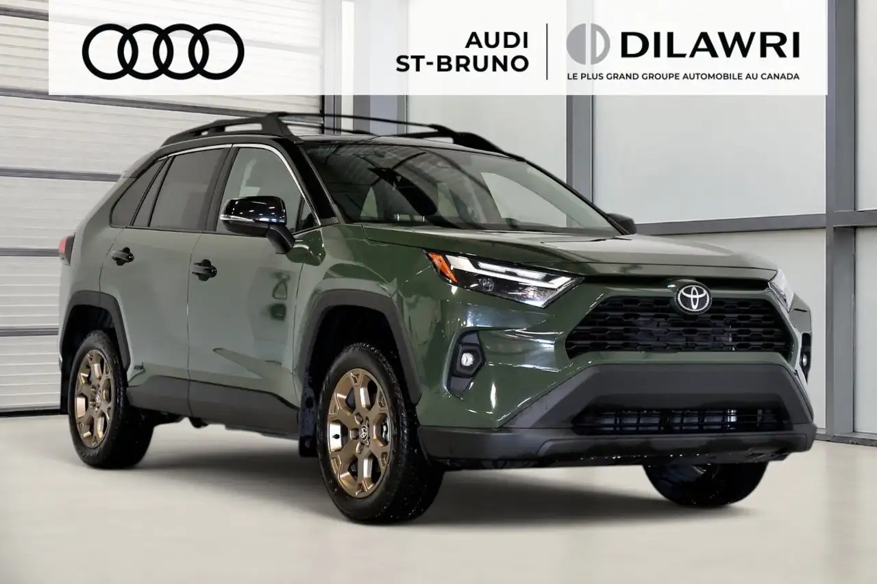 2025 Toyota RAV4 Woodland