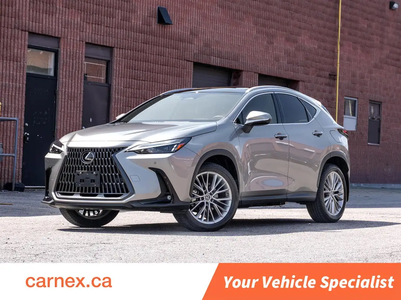 2024 Lexus NX 350h Luxury