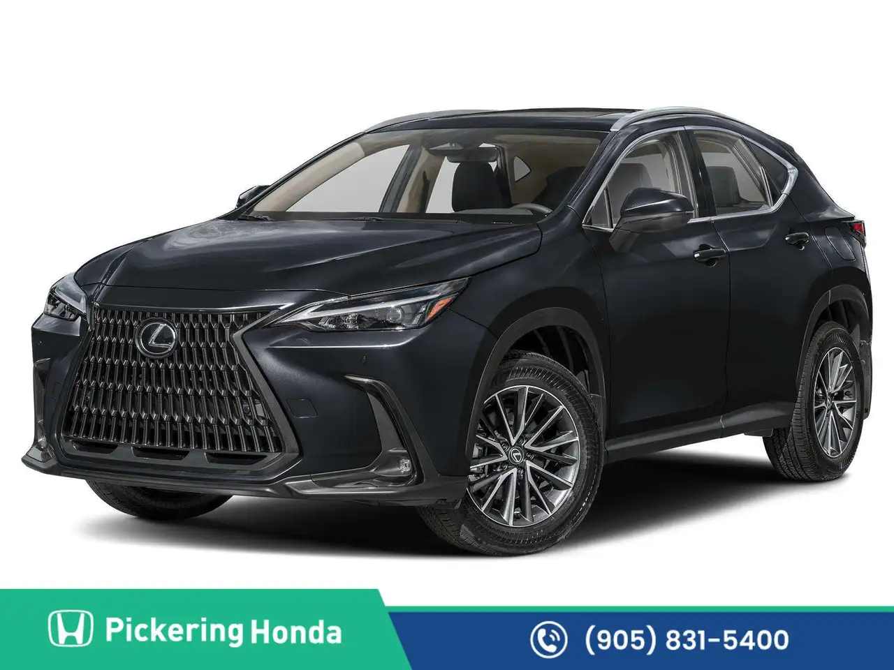 2025 Lexus NX 350 Premium