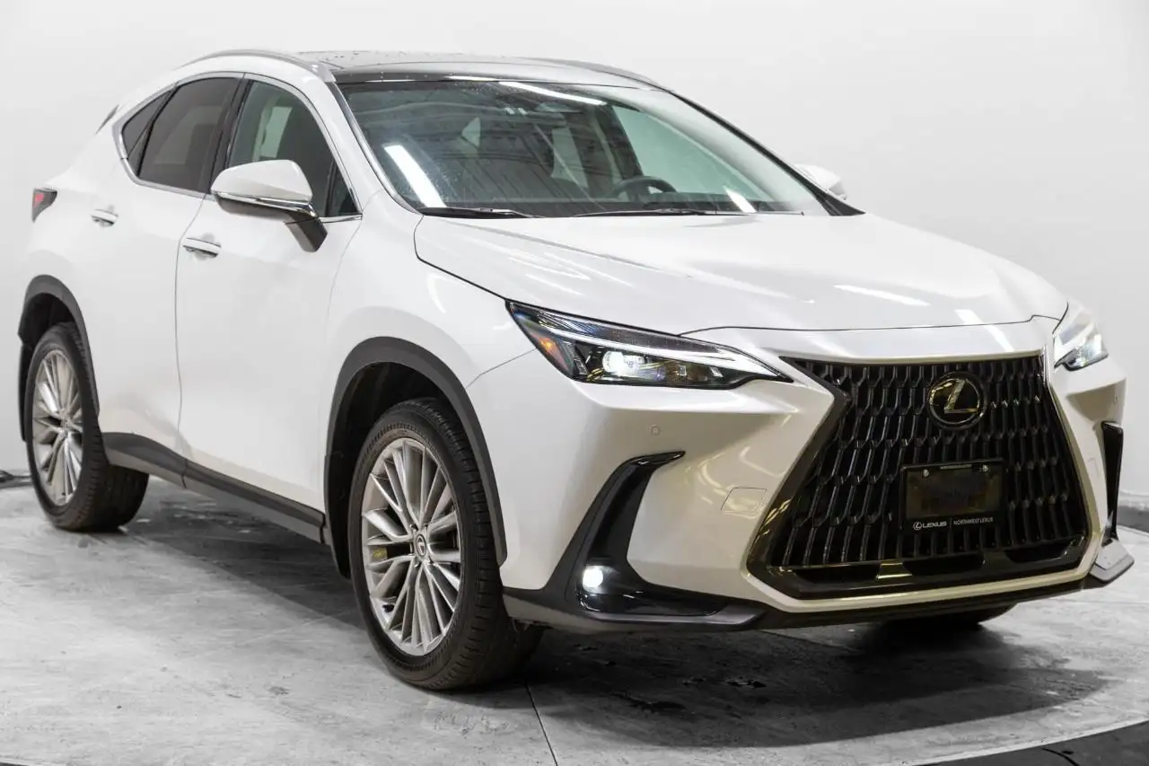2024 Lexus NX Luxury