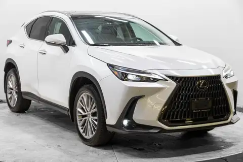 Lexus NX Luxury
