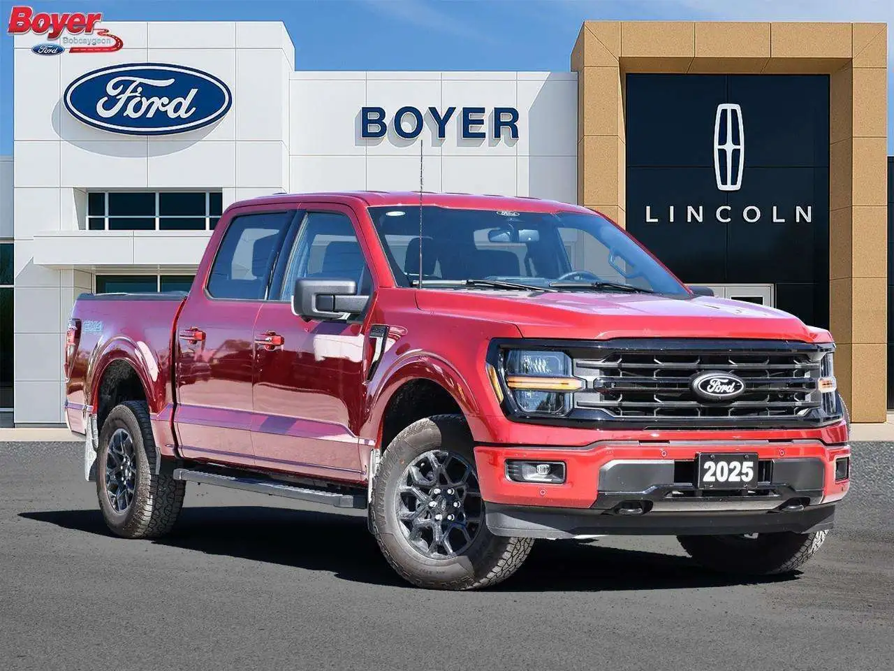 2025 Ford F-150 XLT