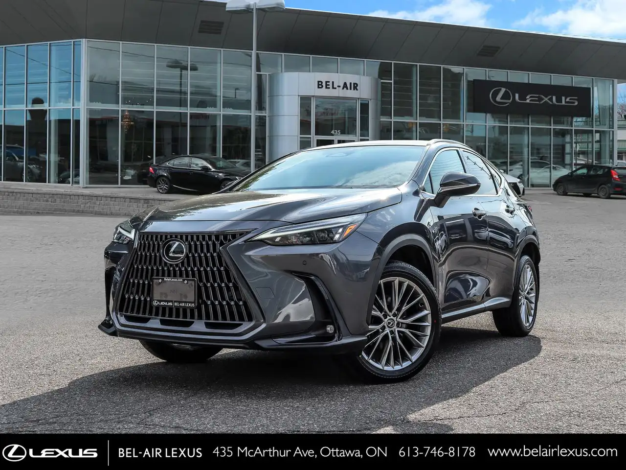 2024 Lexus NX 350 Luxury