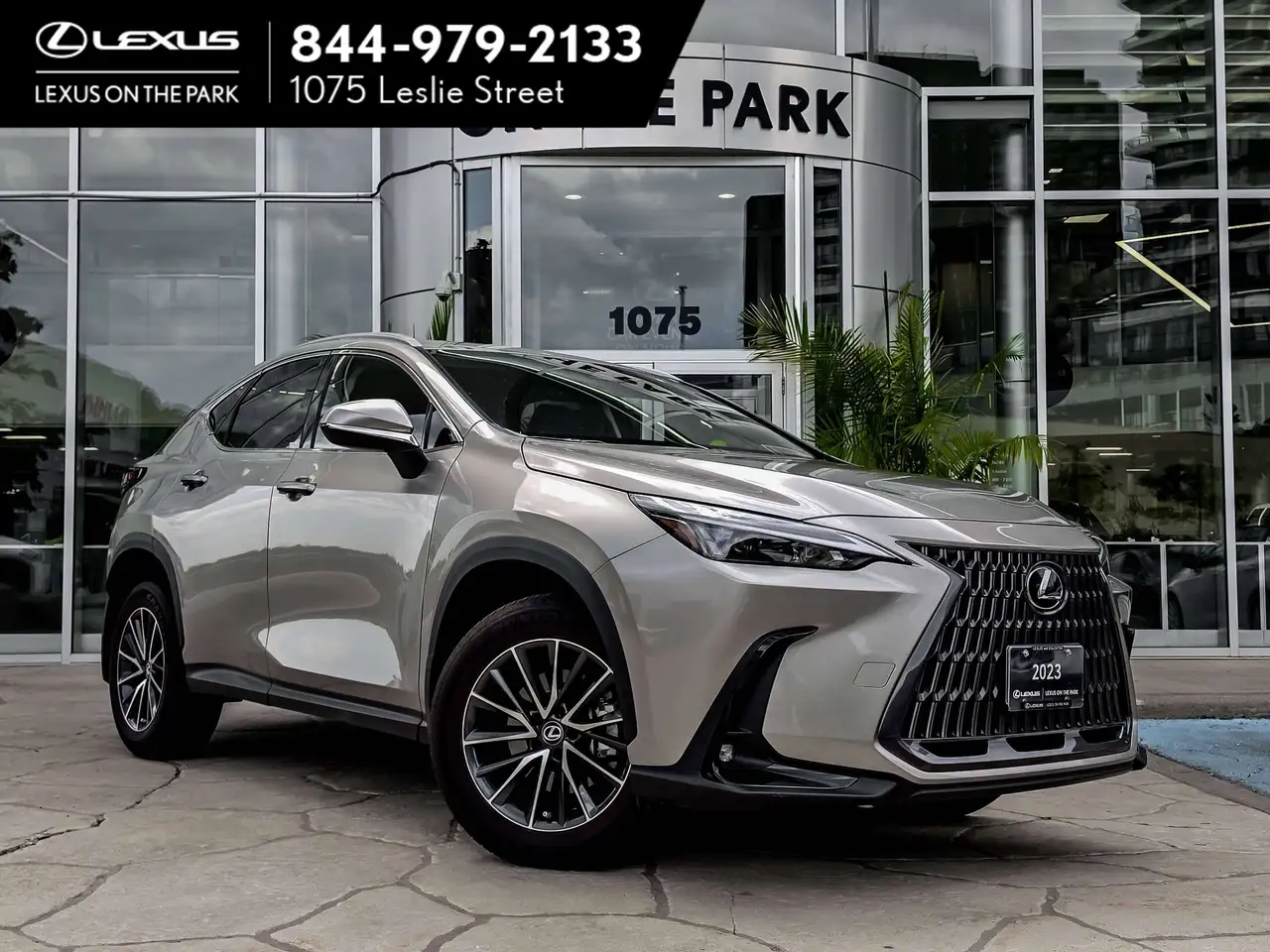 2023 Lexus NX 250 Signature