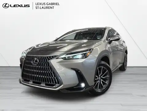 Lexus NX 350 Premium