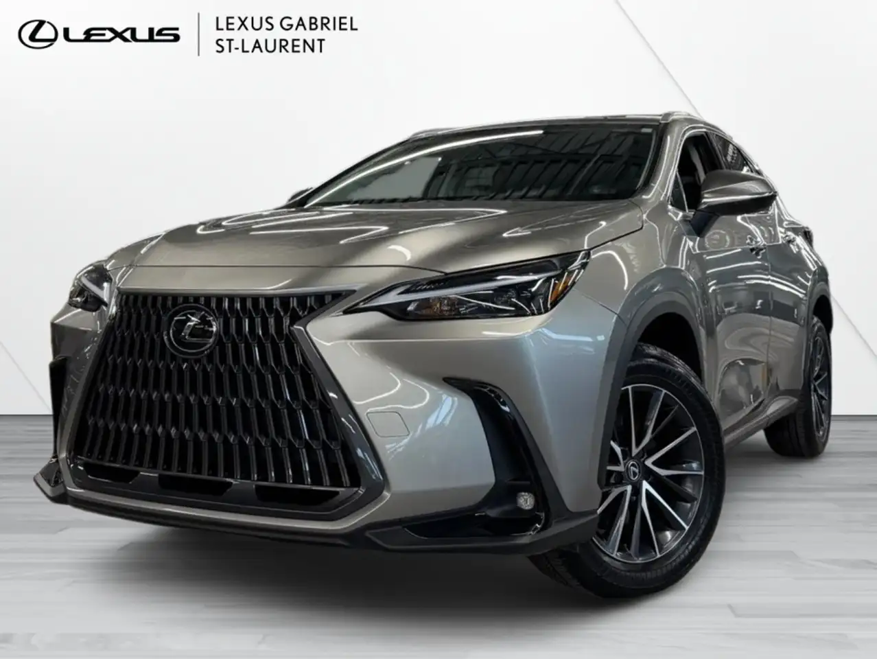 2025 Lexus NX 350 Premium