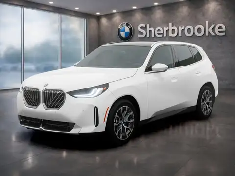 BMW X3 30
