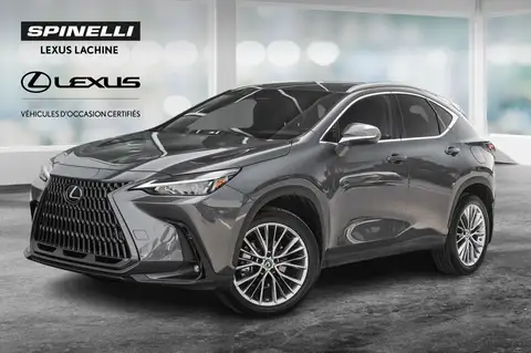 Lexus NX 350 Ultra Premium