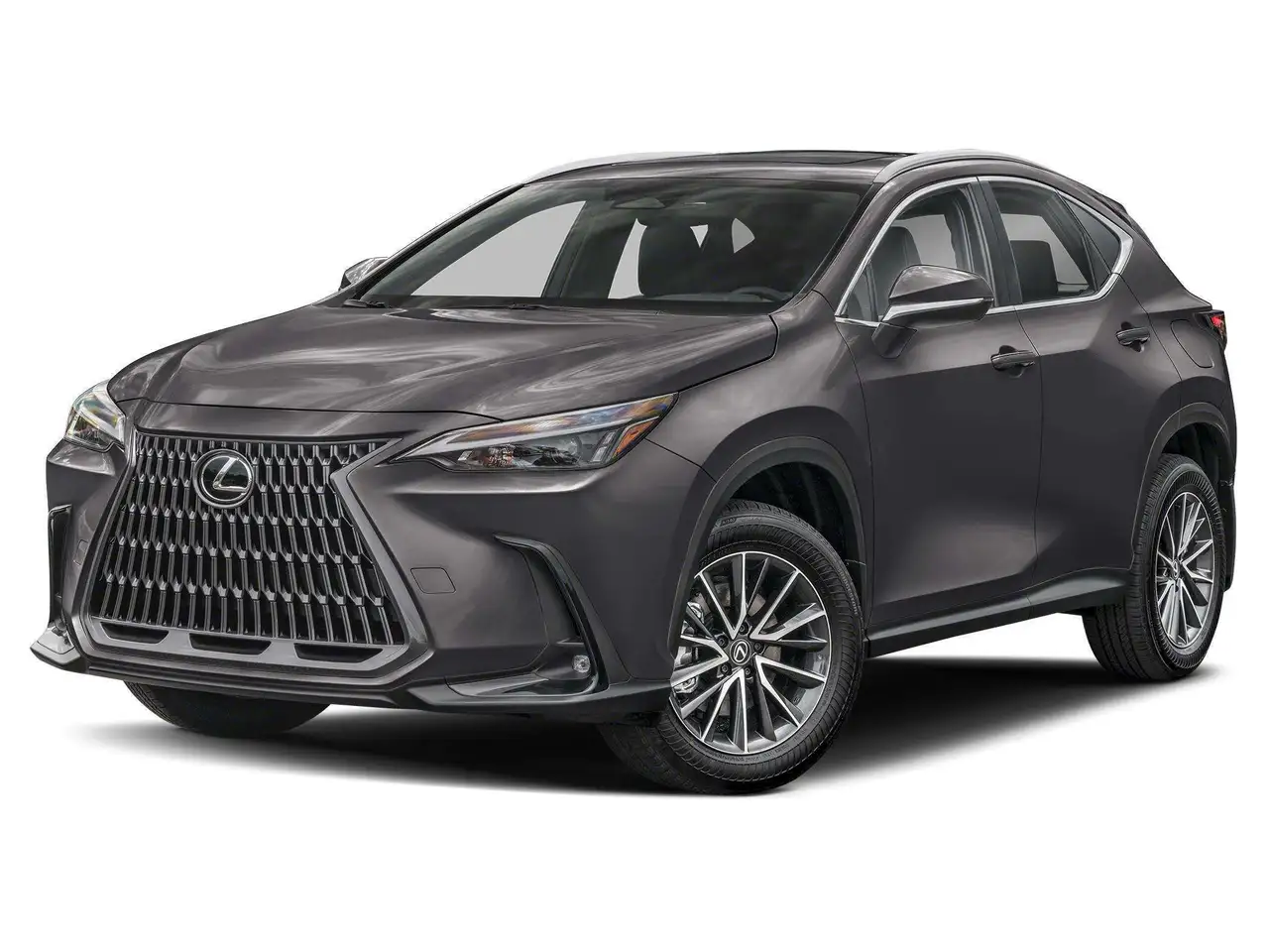 2024 Lexus NX 350h Luxury