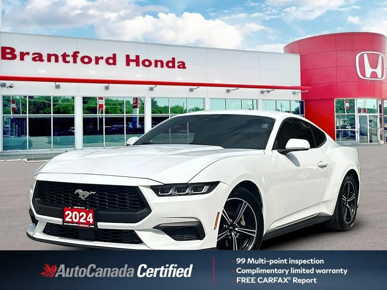 2024 Ford Mustang EcoBoost