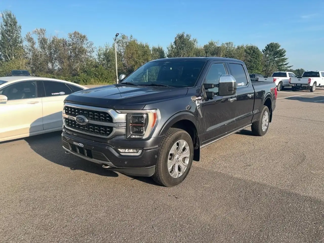2022 Ford F-150 Platinum