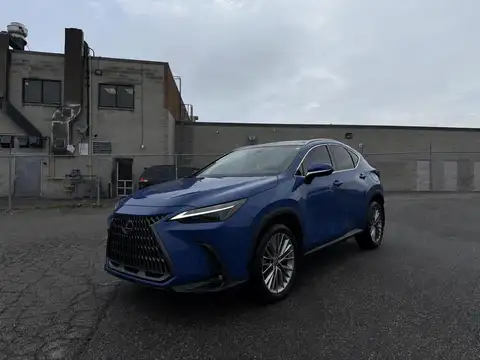 Lexus NX 350 Ultra Luxury
