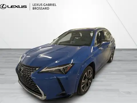 Lexus UX 300h Premium