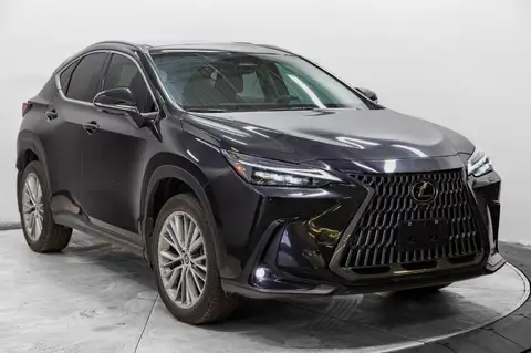 Lexus NX Ultra Luxury