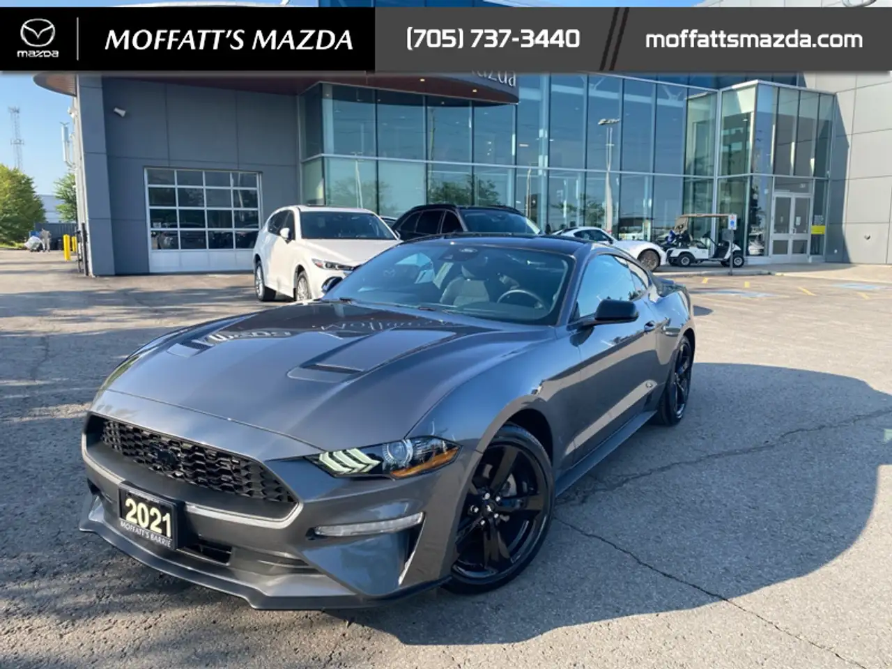 2021 Ford Mustang EcoBoost