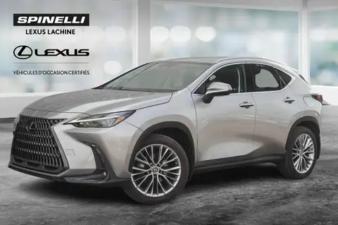 Lexus NX 350 Ultra Premium