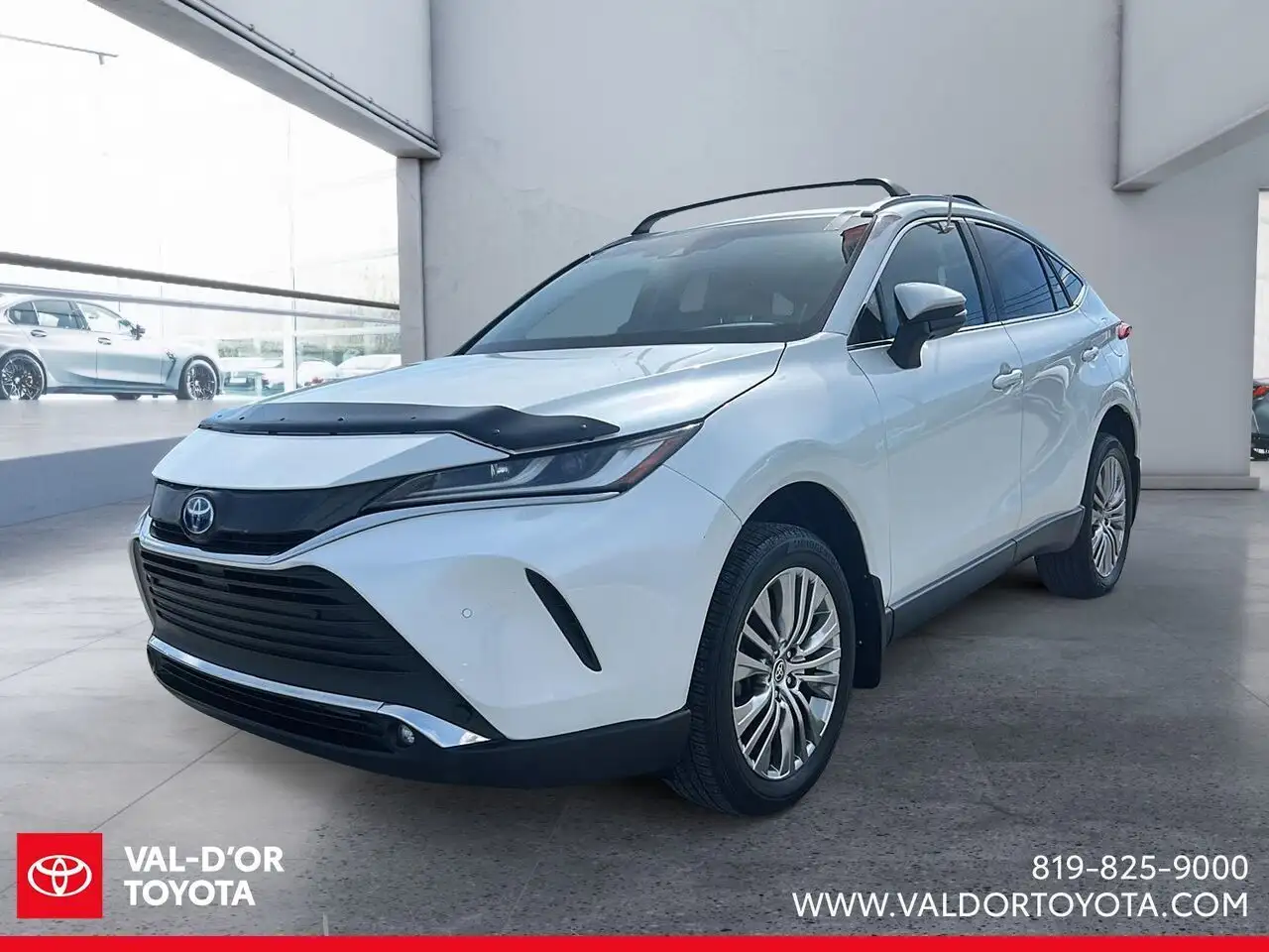 2023 Toyota Venza