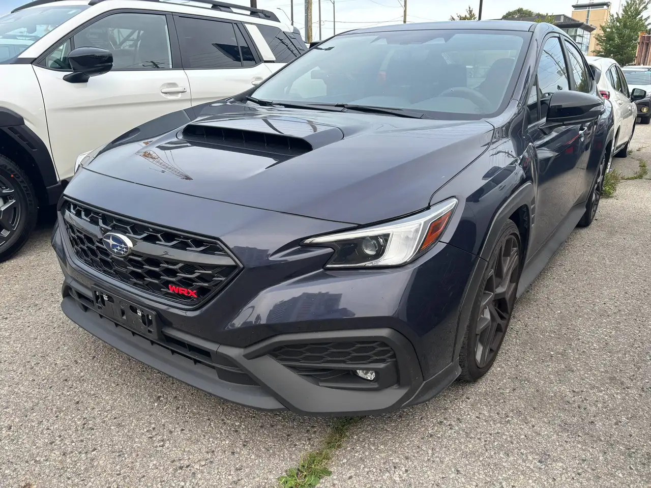2025 Subaru WRX
