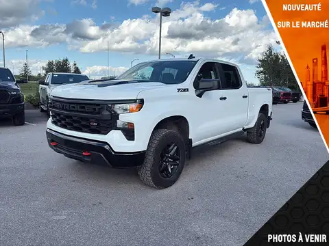 Chevrolet Silverado 1500 Custom Trail Boss