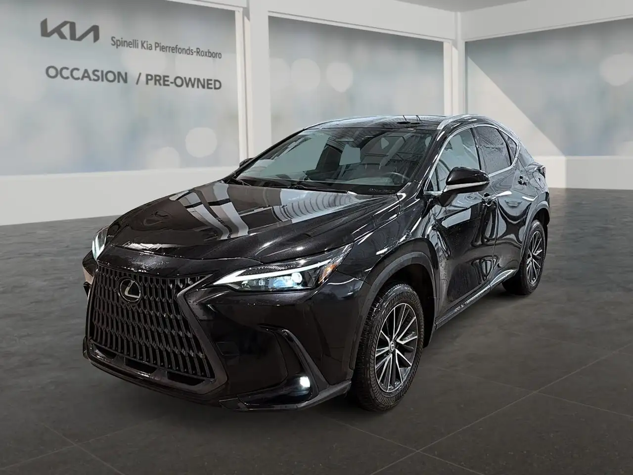 2024 Lexus NX 350 Premium