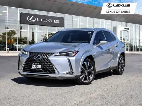 Lexus UX 300h