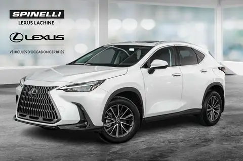 Lexus NX 350 Premium