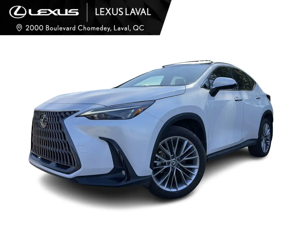 2025 Lexus NX 350 Luxury
