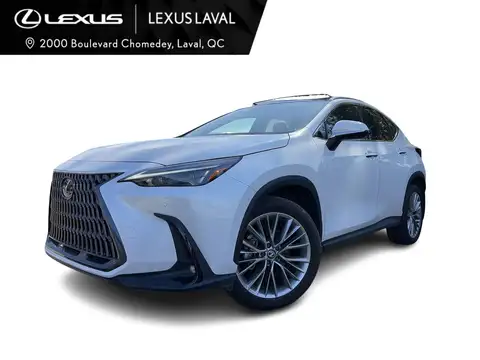 Lexus NX 350 Luxury