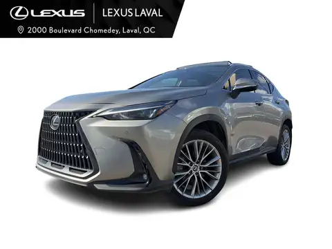 Lexus NX 350 Luxury