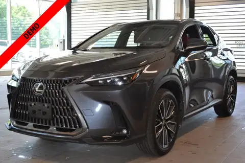 Lexus NX 350 Executive