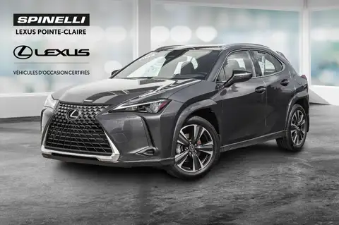 Lexus UX 300h Luxury