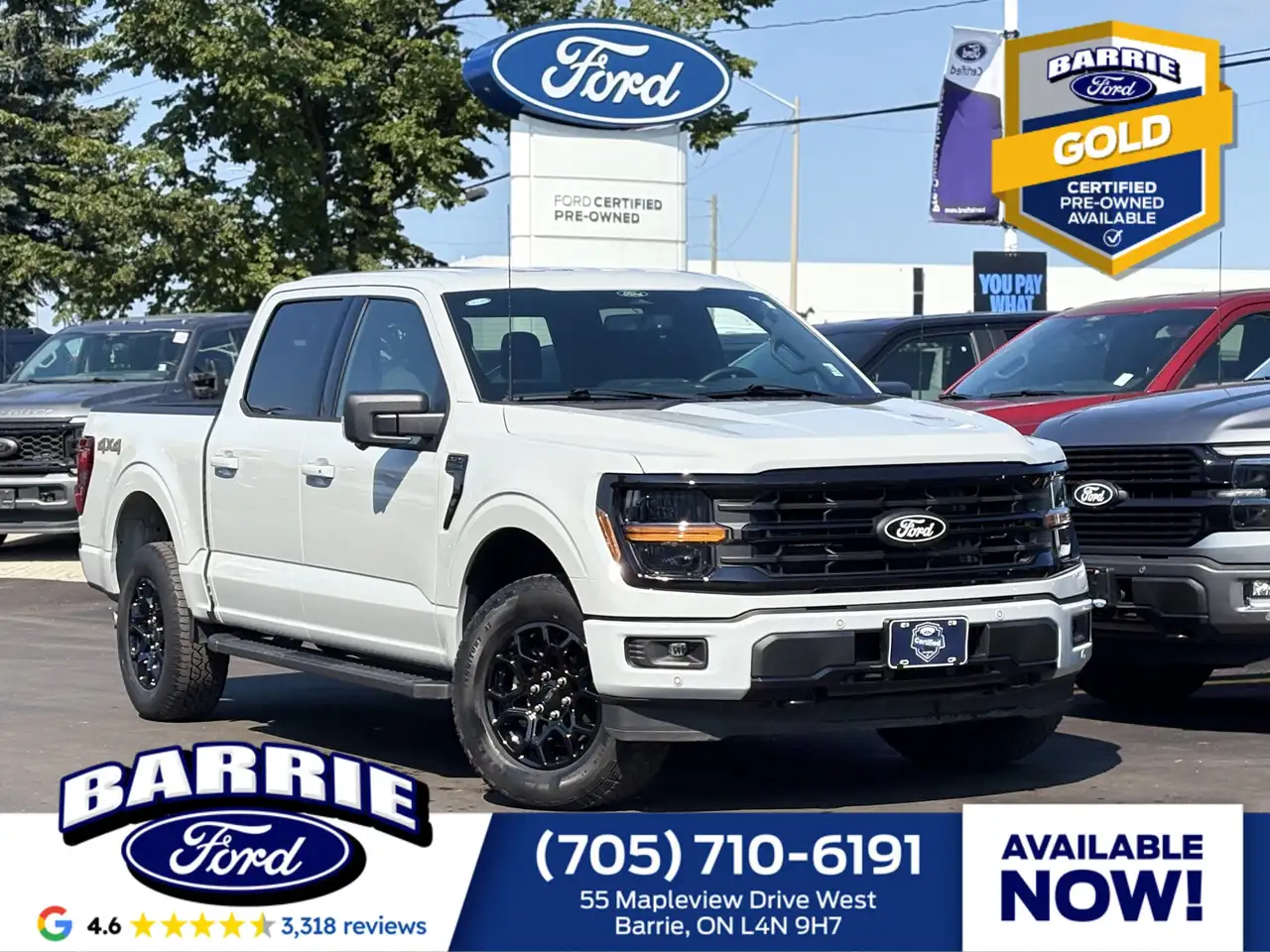 2024 Ford F-150 XLT