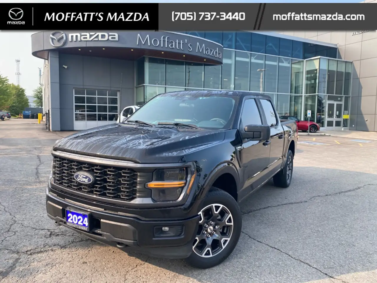 2024 Ford F-150 STX