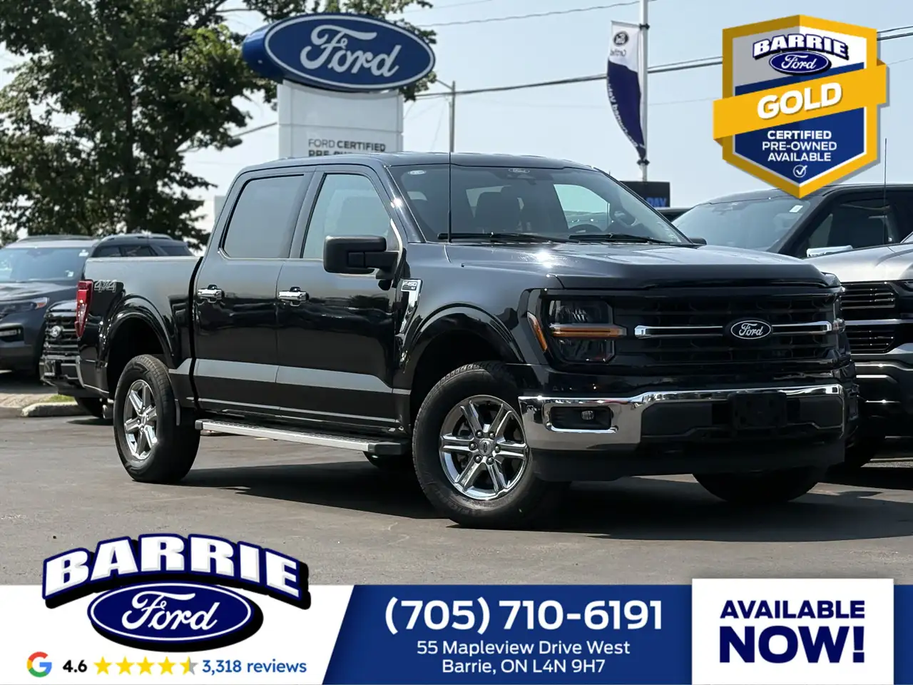 2025 Ford F-150 XLT