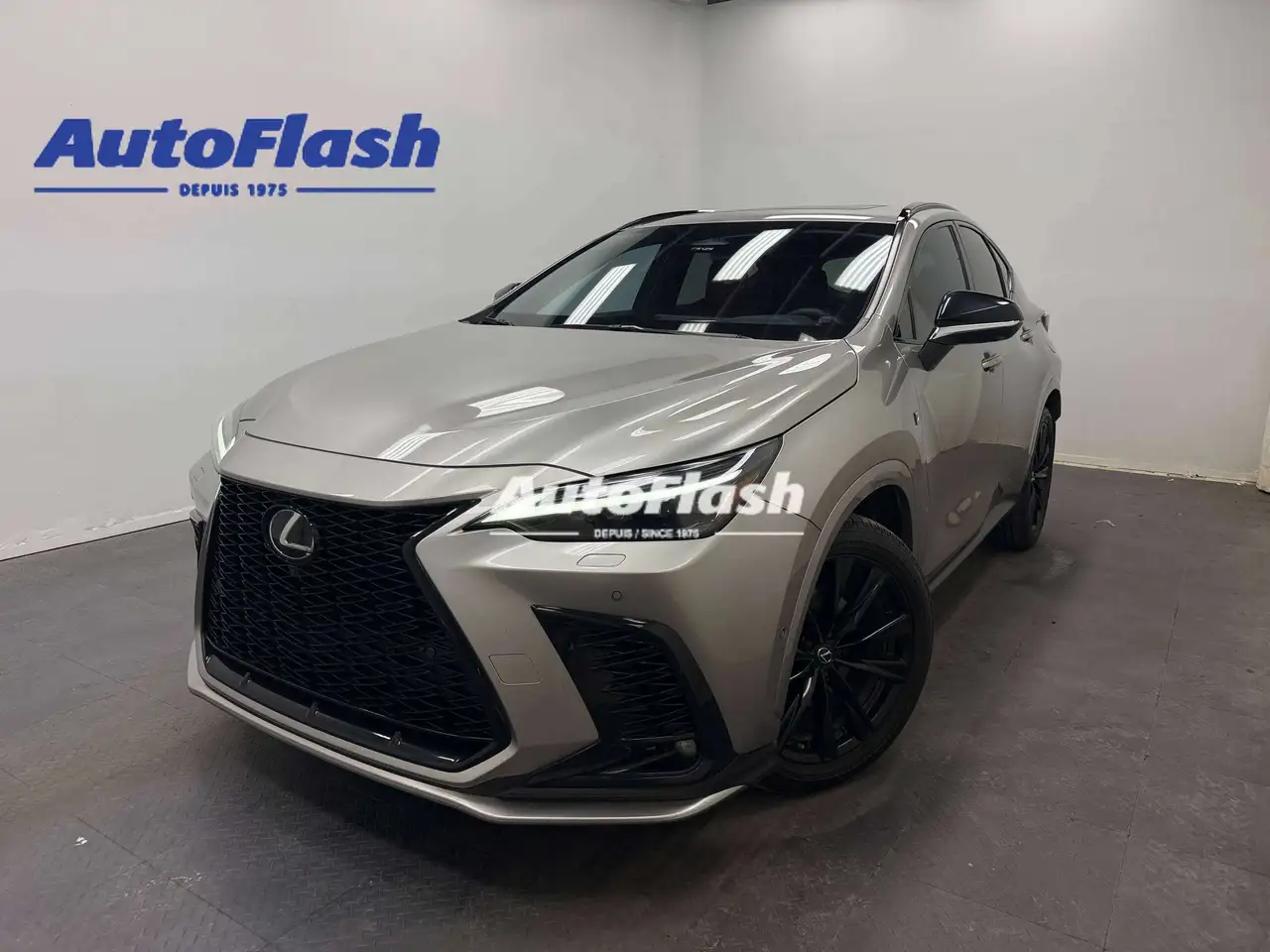 2024 Lexus NX 450h+ F Sport