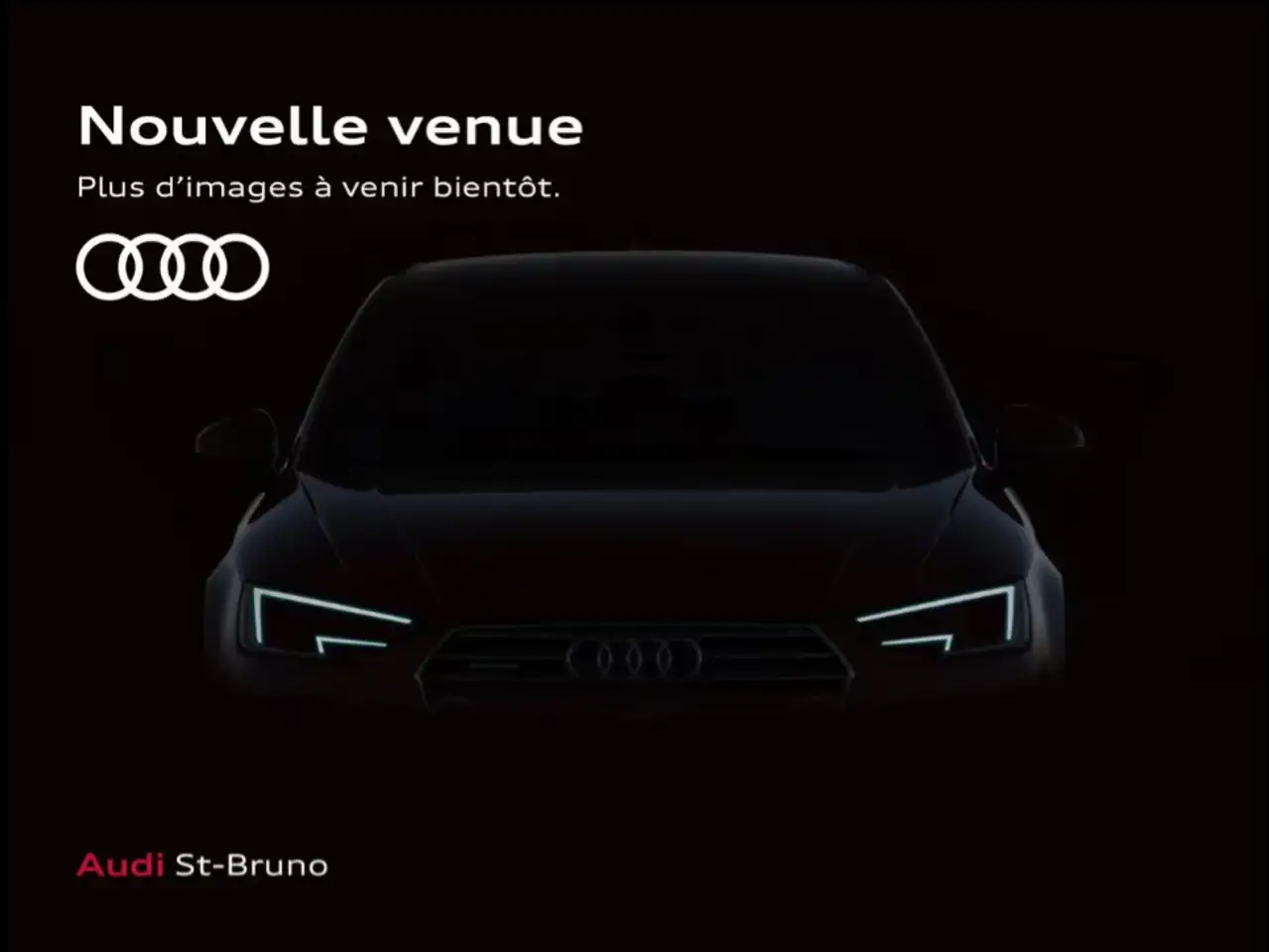 2024 Audi SQ5 Progressiv
