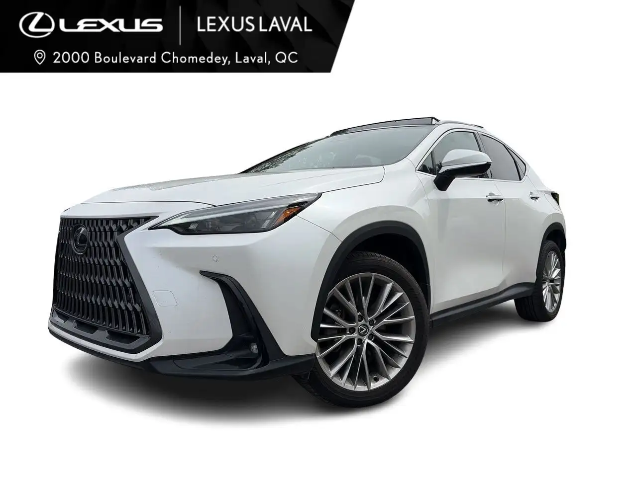 2024 Lexus NX 350h Luxury