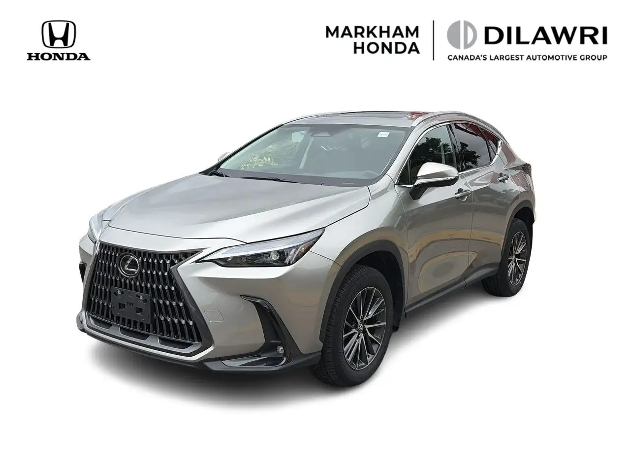 2024 Lexus NX 350h Premium