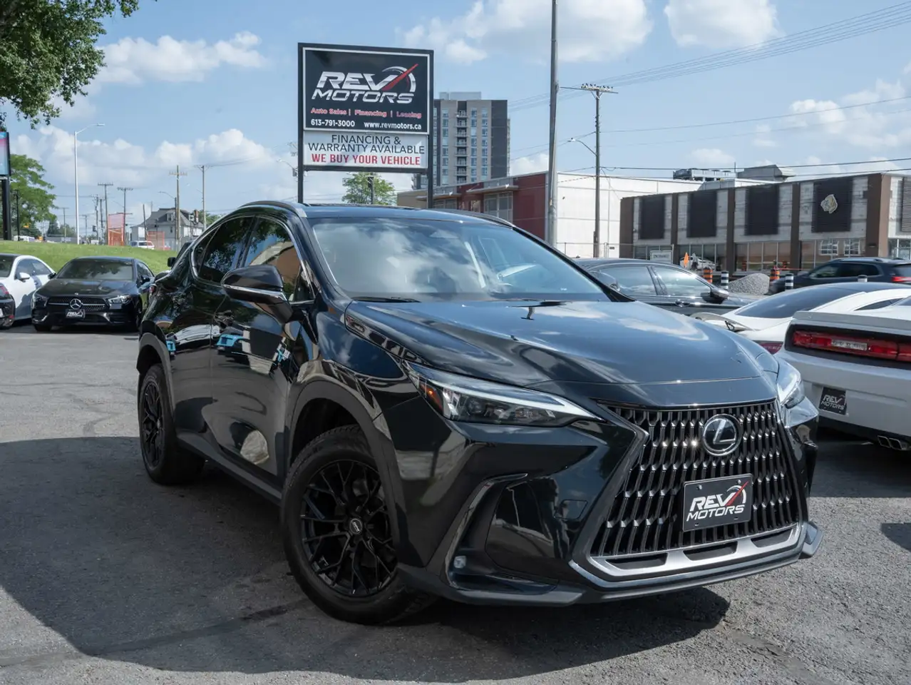 2024 Lexus NX 250
