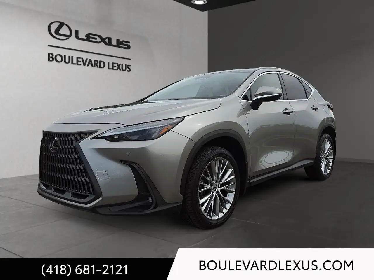 2024 Lexus NX 350 Luxury