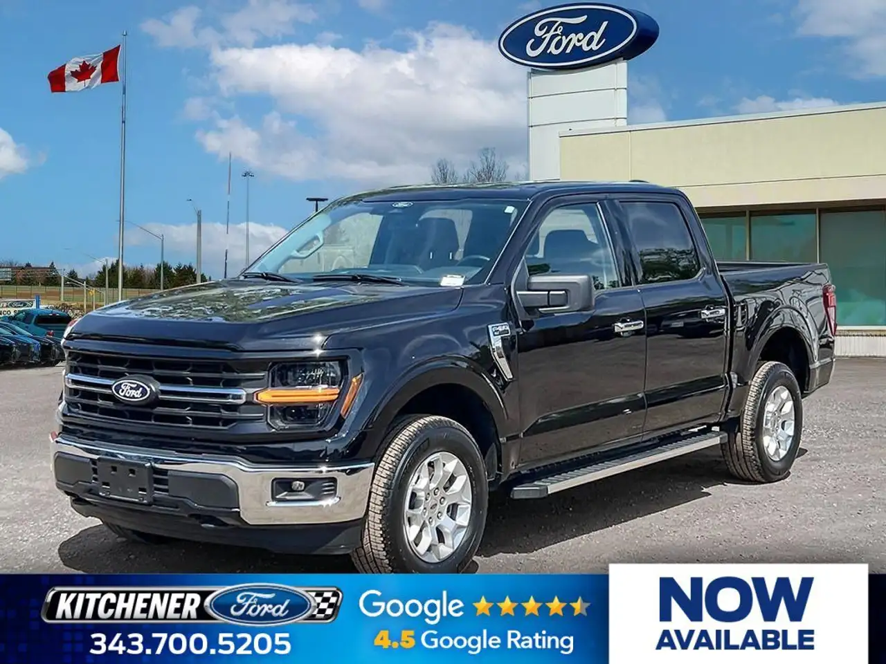2025 Ford F-150 XLT
