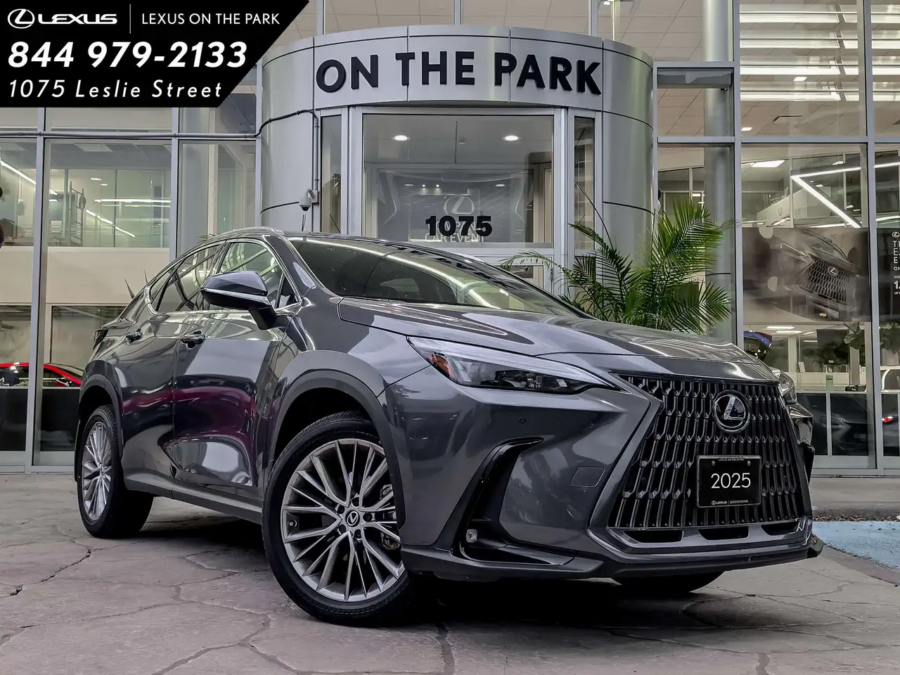 2025 Lexus NX 350 Luxury