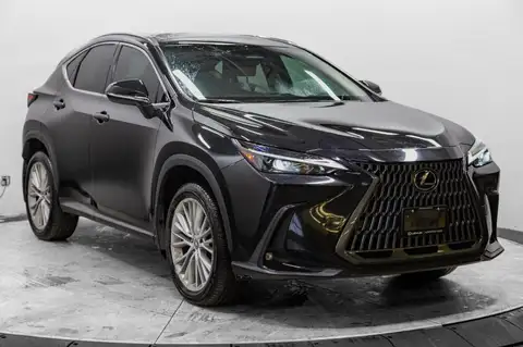 Lexus NX Luxury