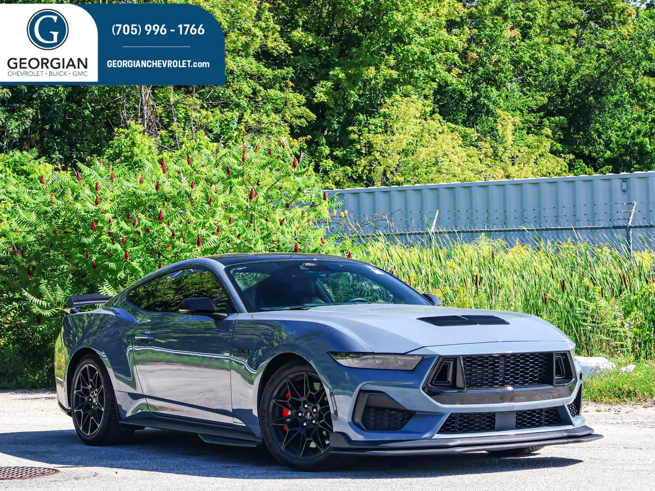 2024 Ford Mustang GT