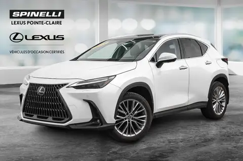 Lexus NX 350 Ultra Luxury