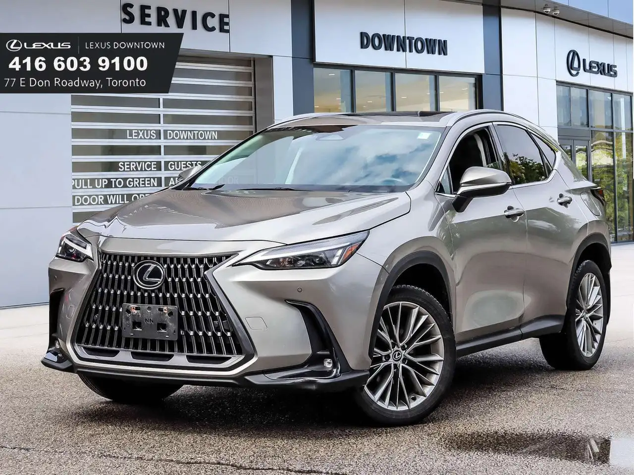 2024 Lexus NX 350h Luxury