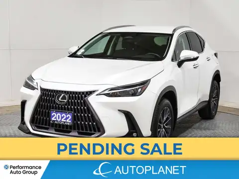Lexus NX 350h Signature
