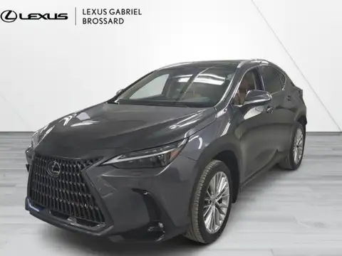 Lexus NX 350 Ultra Luxury
